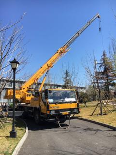 叉车/吊车机械设备出租